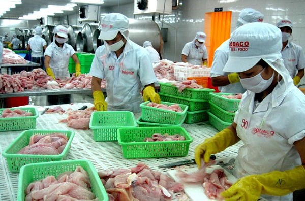 Giá cá tra nguyên liệu tăng kỷ lục sau Tết