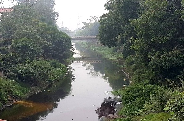 Hà Nội: Công ty TNHH MTV nước sạch Hà Đông xả thải ra sông Nhuệ - Hình 5