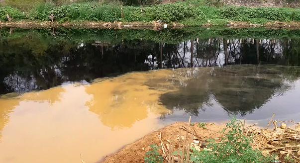 Hà Nội: Công ty TNHH MTV nước sạch Hà Đông xả thải ra sông Nhuệ - Hình 3