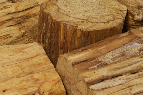 Hải Phòng phát hiện 20m3 khối gỗ thánh không có giấy phép nhập khẩu - Hình 1