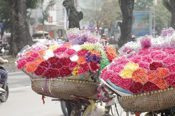 Hà Nội: Ngập tràn sắc hoa Ngày quốc tế phụ nữ 8/3 - Hình 1