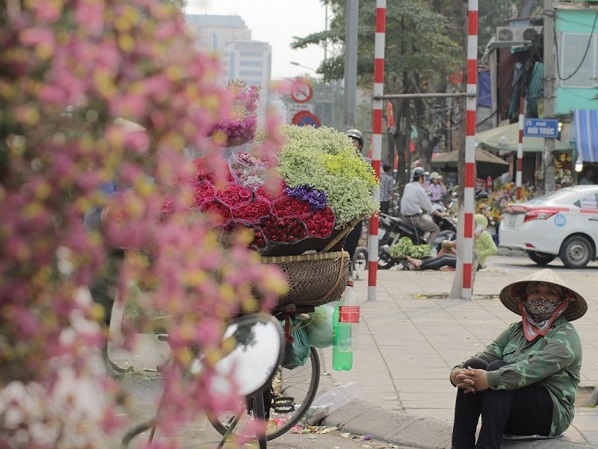 Hà Nội: Ngập tràn sắc hoa Ngày quốc tế phụ nữ 8/3 - Hình 5