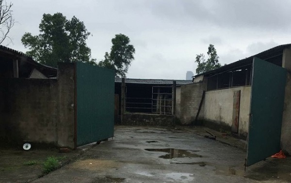 Hà Tĩnh: Dùng dao đâm tử vong người chỉ vì 1 con lợn