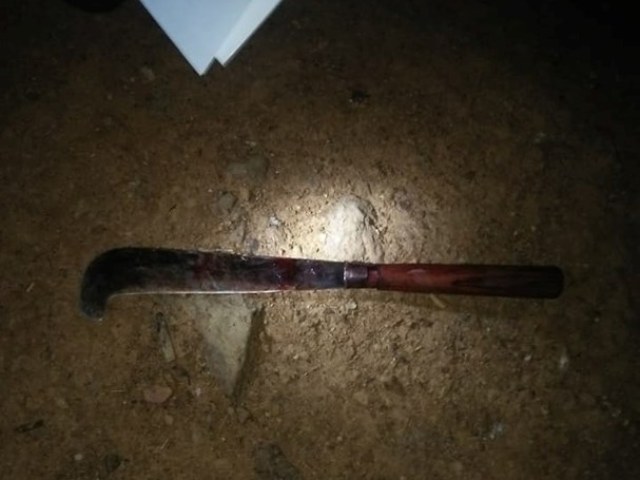 Nghệ An: Ngáo đá, dùng dao giết con, chém vợ trọng thương rồi tự sát