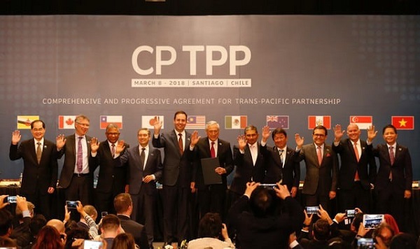 Chuyên gia Singapore: Việt Nam cần cải cách để tận dụng cơ hội CPTPP - Hình 1