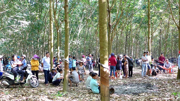 Bình Phước: Bắt giữ nghi can sát hại bé gái 4 tuổi