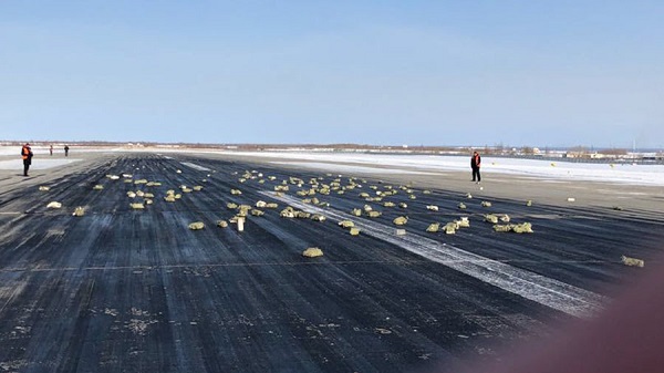 Chuyện lạ: Gần 200 thỏi vàng bị rơi khi máy bay cất cánh - Hình 1