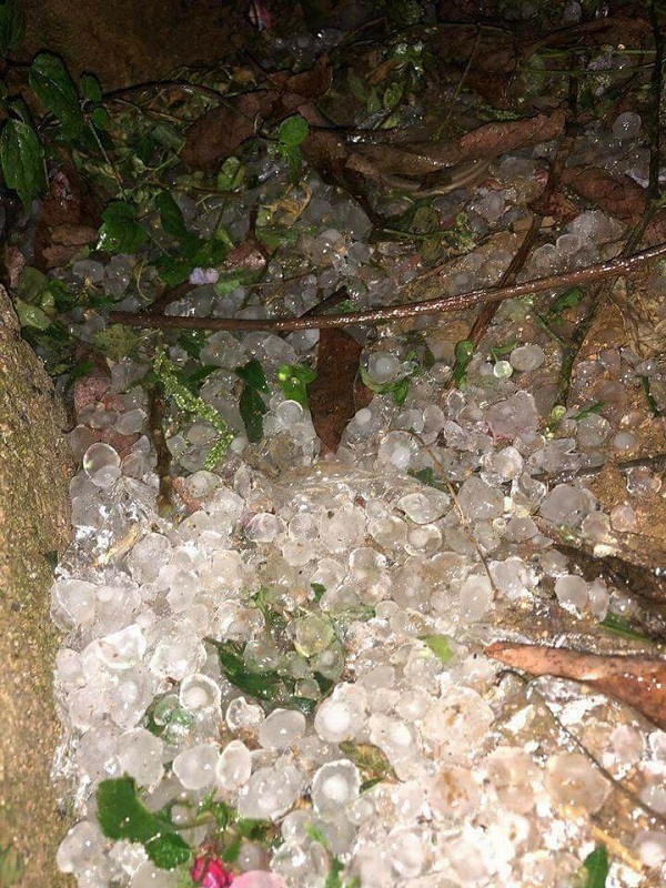 Mộc Châu – Sơn La: Bất ngờ xuất hiện mưa đá gây thiệt hại lớn - Hình 2
