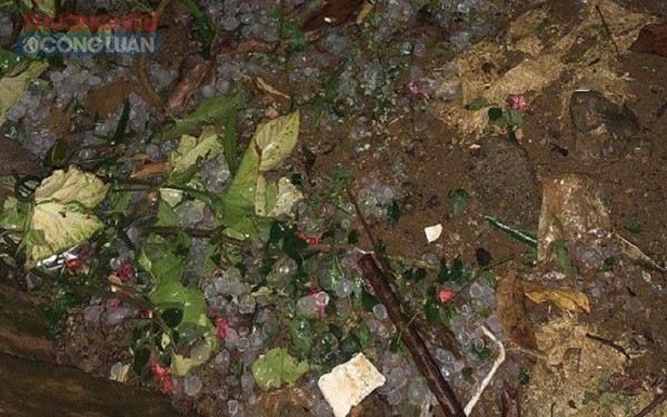 Mộc Châu – Sơn La: Bất ngờ xuất hiện mưa đá gây thiệt hại lớn