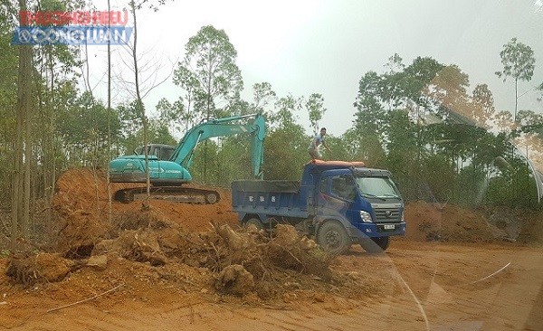 Xã Thanh Đình (Phú Thọ): Đất rừng ngang nhiên bị “xẻ thịt” không phép