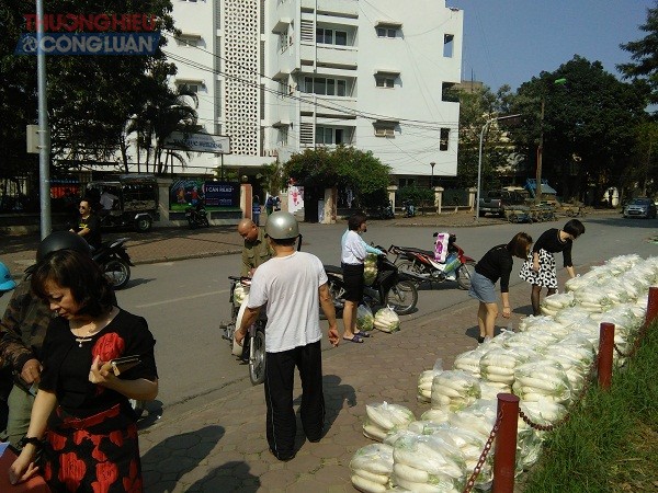Hà Nội: Hàng tấn củ cải được 