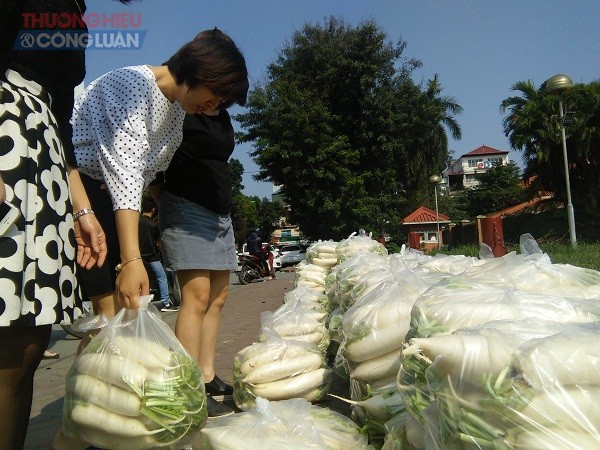 Hà Nội: Hàng tấn củ cải được "giải cứu"