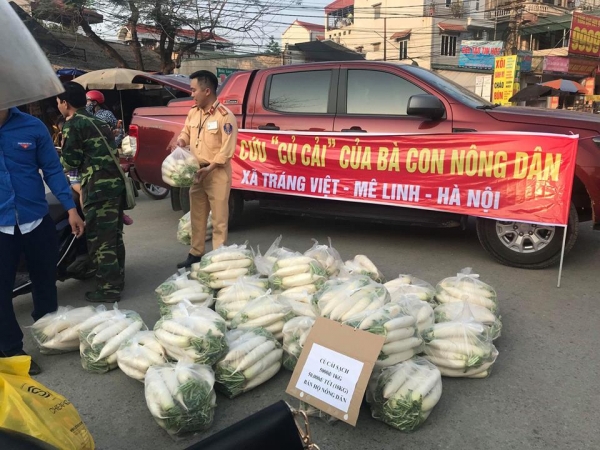 Đội CSGT 11 giúp bà con xã Tráng Việt giải cứu củ cải - Hình 2