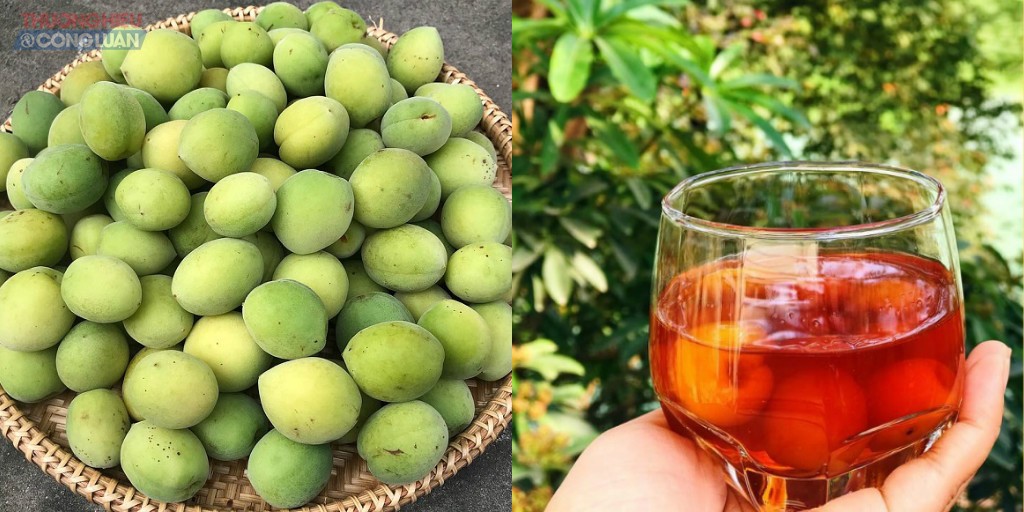 “Mẹ bỉm sữa” chia sẻ cách làm rượu mơ của Nhật Bản ngon đúng điệu