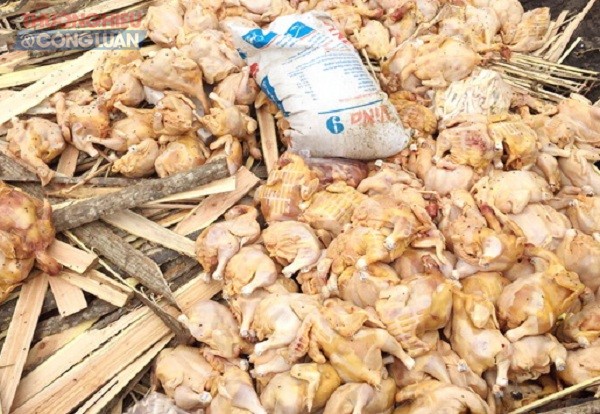 Đồng Nai: Bắt giữ gần nửa tấn thịt gà không rõ nguồn gốc