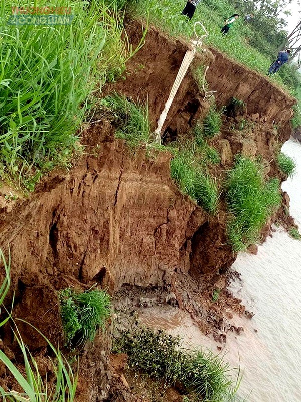 Hưng Yên: Người dân kêu cứu vì cát tặc đua nhau dàn trận đục khoét sông Hồng - Hình 4