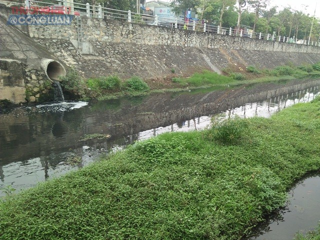 Nghệ An: Nước thải hôi thối, cây cối um tùm giữa lòng kênh Bắc - Hình 2