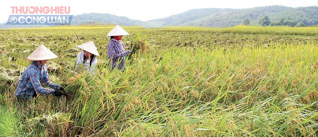 Huyện Thanh Ba (Phú Thọ): Khởi sắc những làng quê - Hình 2