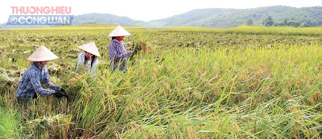 Huyện Thanh Ba (Phú Thọ): Khởi sắc những làng quê