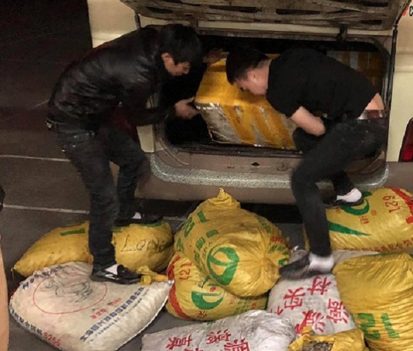 Quảng Ninh: Thu giữ 600 kg sò gạo, 70 kg tu hài nguồn gốc Trung Quốc nhập lậu - Hình 1