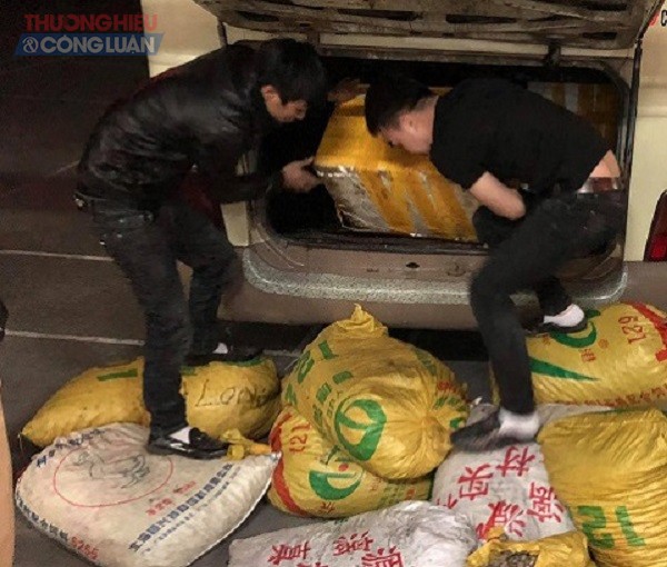 Quảng Ninh: Thu giữ 600 kg sò gạo, 70 kg tu hài nguồn gốc Trung Quốc nhập lậu
