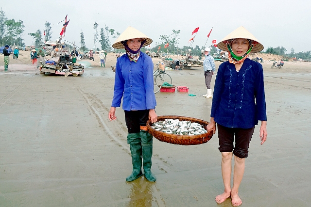 Trúng đậm mùa cá trích ngư dân Thanh Hóa kiếm tiền triệu mỗi ngày - Hình 2