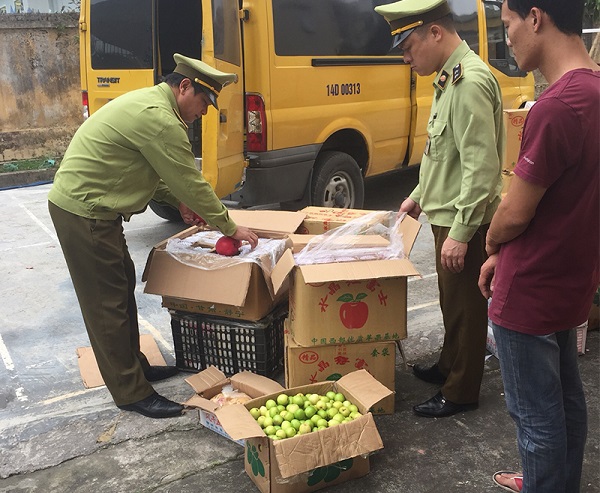 Đội QLTT số 12 (Quảng Ninh): Tịch thu 500kg củ quả không rõ nguồn gốc