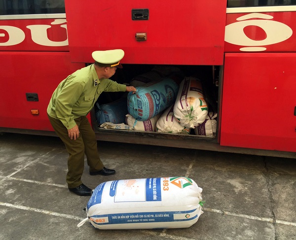 Đội QLTT số 8 (Quảng Ninh): Tiêu hủy 150.000 con cá giống không rõ nguồn gốc xuất xứ