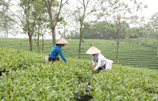 Những điểm sáng trong quý 1