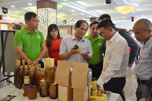 Nông nghiệp Gia Lai hướng đến hiện đại, hiệu quả, chất lượng và khởi sắc