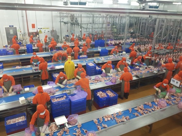 Công nghệ hiện đại, tối ưu hóa sản xuất ở Công ty C.P Việt Nam