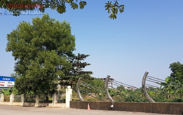 Bắc Giang: Lời kêu cứu của một Việt kiều - Bài 1: 'Chóng mặt' vì đổi quy hoạch