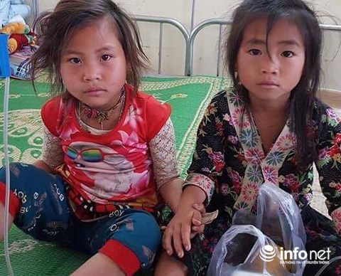 Hai em bé bị ngộ độc vì ăn nhầm lá ngón