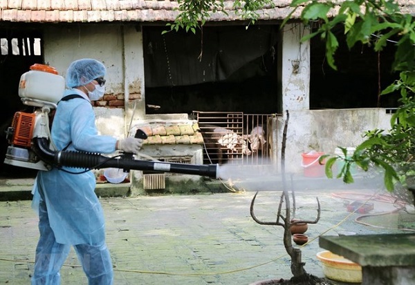Cà Mau ghi nhận ca tử vong đầu tiên do bệnh sốt xuất huyết