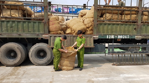 Lạng Sơn: Thu giữ hơn 8.000 kg thuốc lá sấy khô, không rõ nguồn gốc - Hình 1