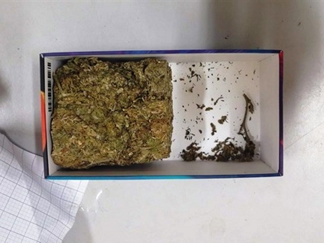 Nghệ An: Kiểm tra gỗ, phát hiện cần sa