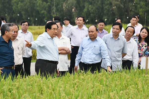 Hôm nay, Thủ tướng đối thoại với nông dân tại Hải Dương - Hình 1