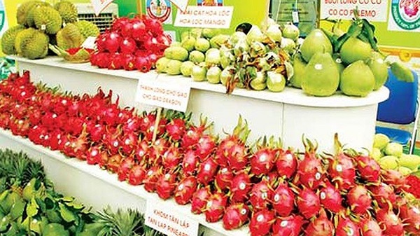 Trái cây Việt Nam: Kỳ vọng xuất khẩu đạt kim ngạch 10 tỷ USD - Hình 1