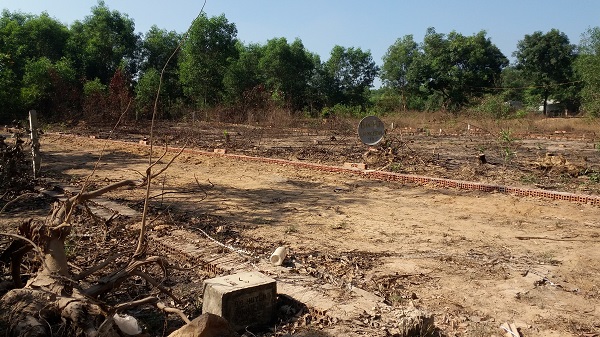 Đồng Nai: Thành lập tổ công tác kiểm tra tình trạng phân lô bán nền đất nông nghiệp