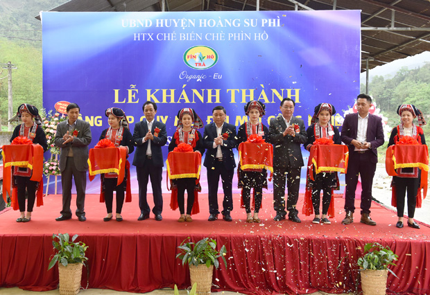 Hà Giang: Khánh thành nhà máy chế biến chè hữu cơ xuất khẩu với công nghệ hiện đại