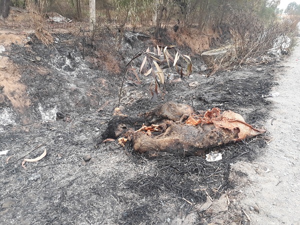 Đồng Nai: Nhà máy rác chưa chịu di dời, dân kêu trời!