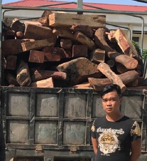 Bình Định : Bắt thành công xe tải chở gỗ lậu - Hình 1
