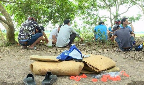 Hóa trang thành nông dân, cảnh sát phá tan tụ điểm đá gà giữa cánh đồng - Hình 1