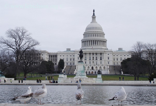 Mỹ: Đảng Dân chủ có lợi thế trong kỳ bầu cử Quốc hội sắp tới