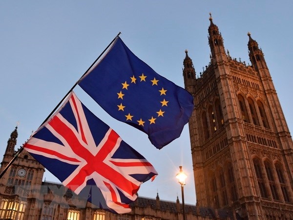 Nhiều nghị sỹ liên đảng Anh đòi tổ chức cuộc trưng cầu lại về Brexit