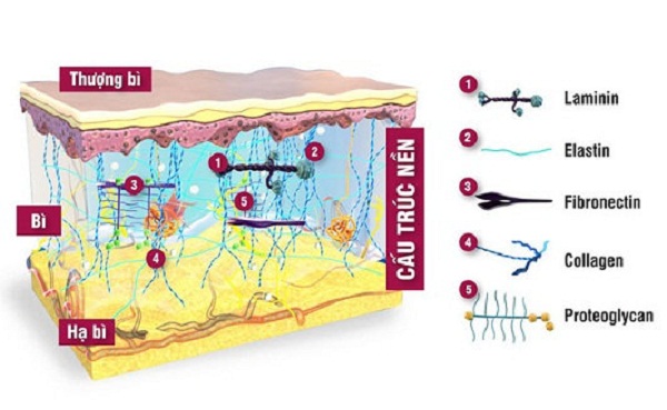 Bí quyết giữ mãi làn da tươi trẻ