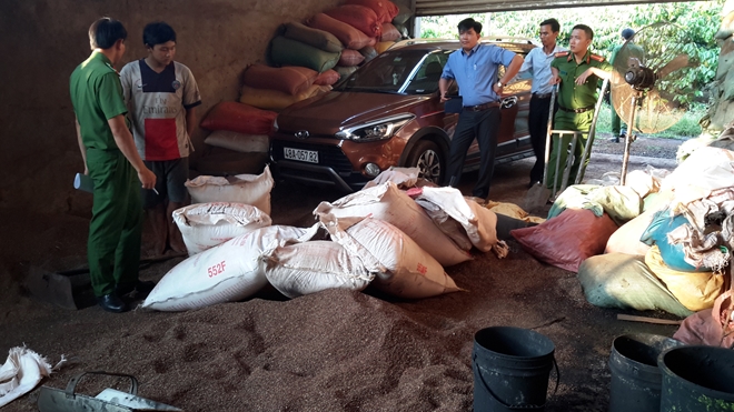 Vụ nhuộm cà phê bằng pin ở Đắk Nông: Những tiết lộ kinh hoàng