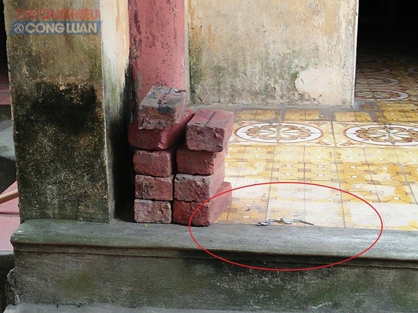 Vĩnh Phúc: Nhiều pho tượng Phật quý hiếm bị đánh cắp - Hình 2