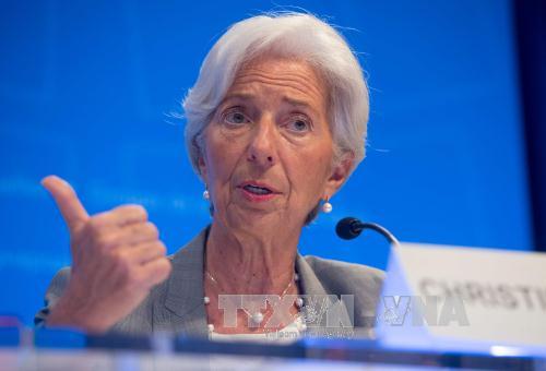 Tổng Giám đốc IMF kêu gọi tránh làm tổn hại đến thương mại và đầu tư - Hình 1