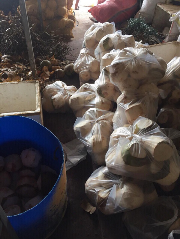 Quảng Nam: Phạt nặng một công ty ngâm dừa trong hóa chất - Hình 1